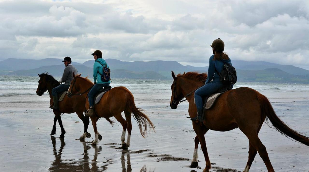 Wild Kerry Lodge Гленбі Екстер'єр фото